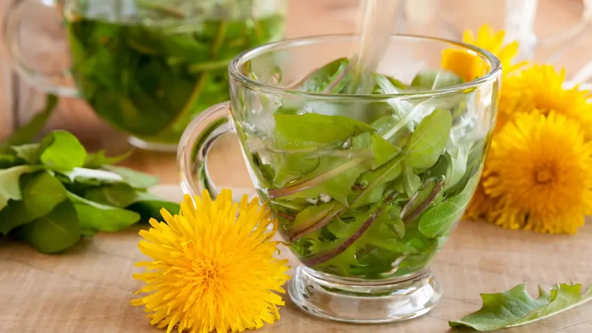 Dandelion tea