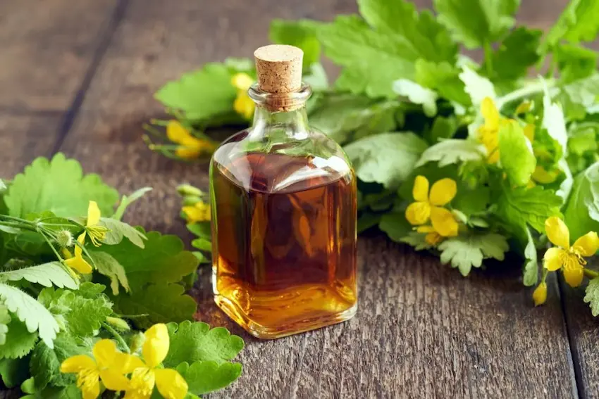 Greater Celandine Tincture