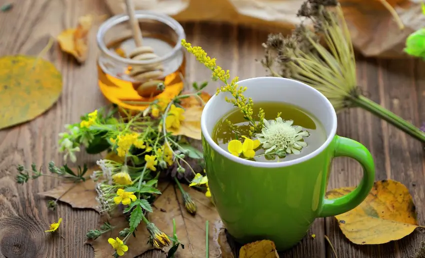 herbs for kidney stones