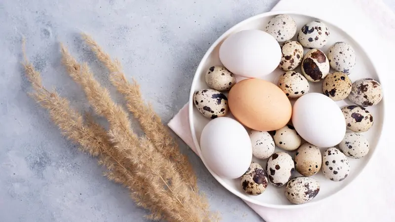 Chicken and Quail Eggs