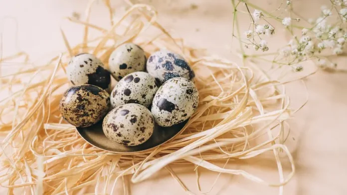 Quail Eggs