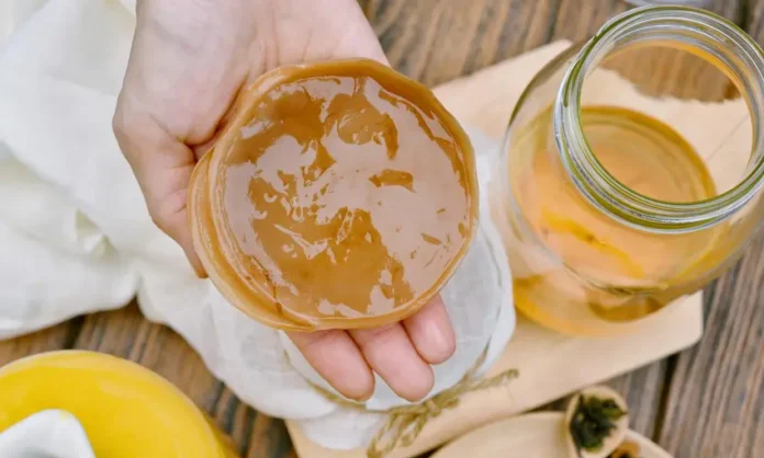 Kombucha Mushroom How to Grow
