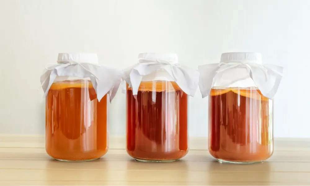 kombucha fermentation