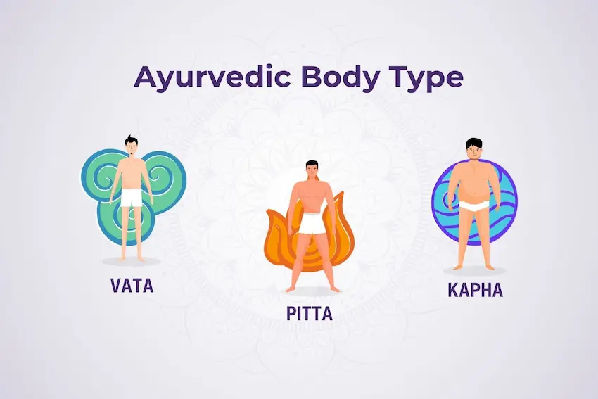 Ayurvedic Body Types